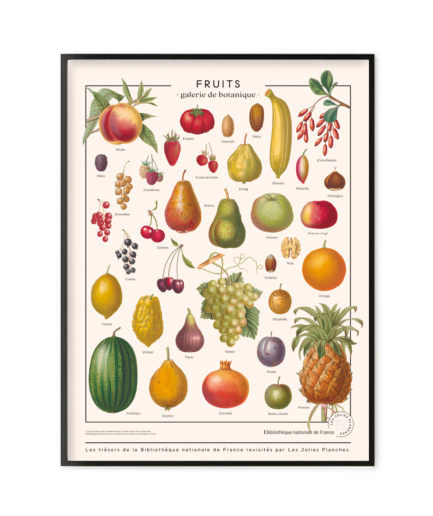 Fruits du verger