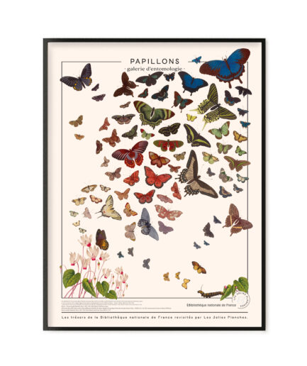 Papillons