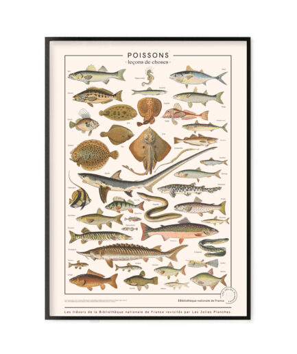 Poissons