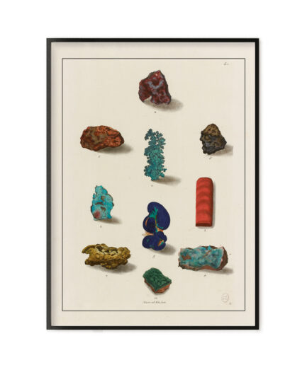Cabinet de curiosités – Minéraux