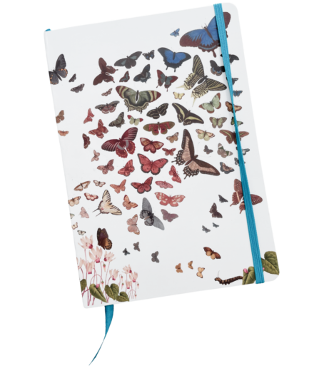 Carnet Papillons A5 ligné 126 pages