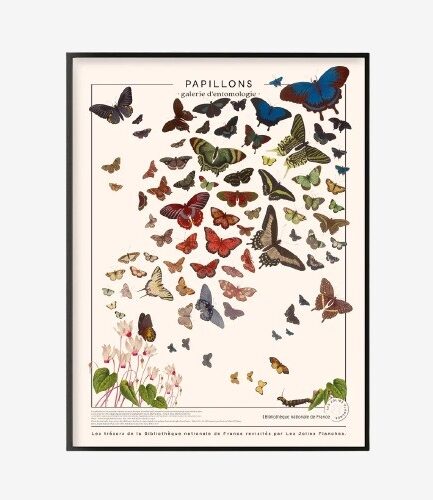 Papillons