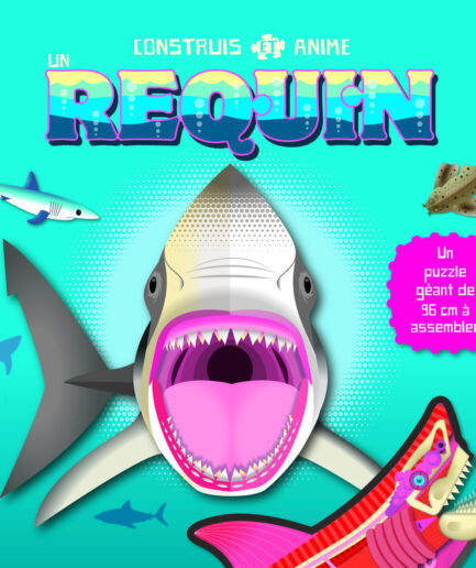 Construis et anime un requin