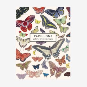 carnet-papillons papillon