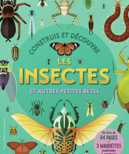 Construis et découvre les insectes et autres petites bêtes