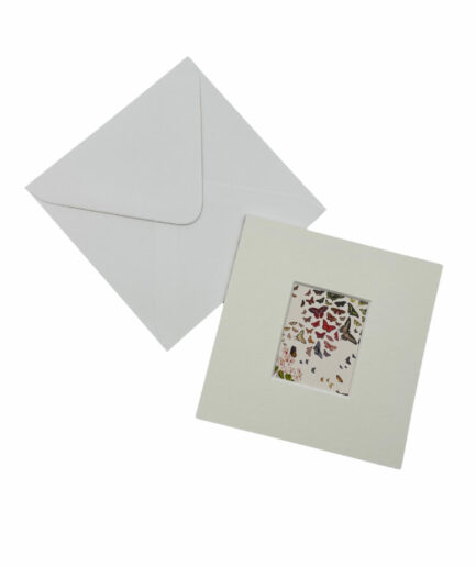 Carte de correspondance double avec passe-partout – Papillons