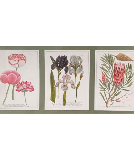 Set de 3 magnets – Fleurs