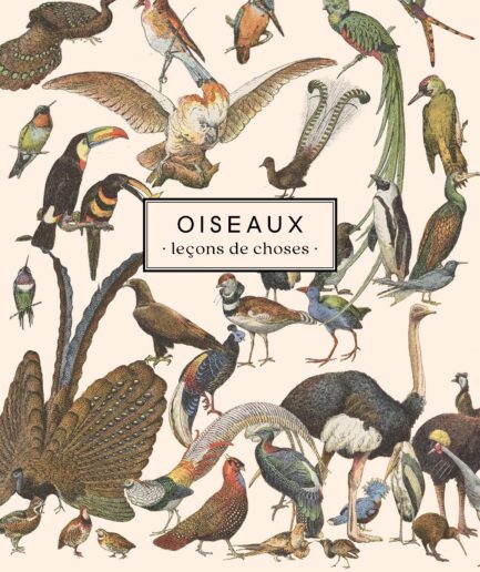 Carnet Oiseaux