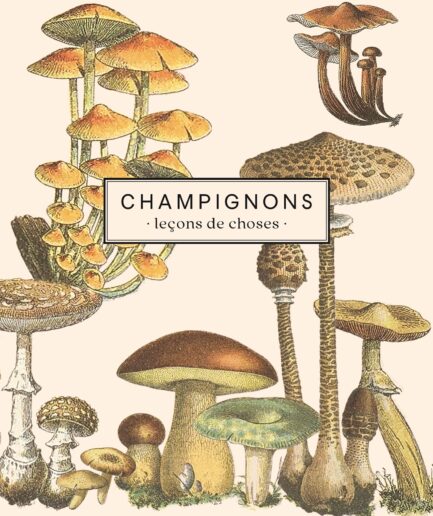 Carnet Champignons