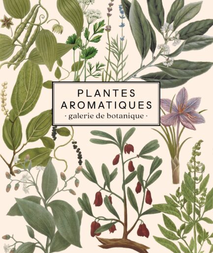 Carnet Plantes aromatiques