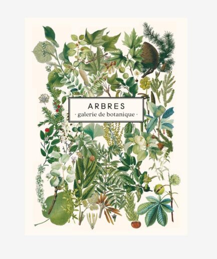 Carnet Arbres