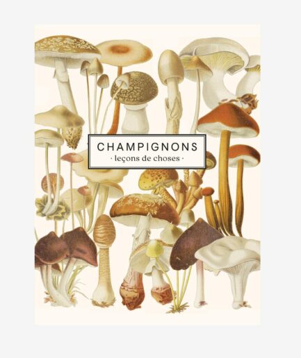 Carnet Champignons