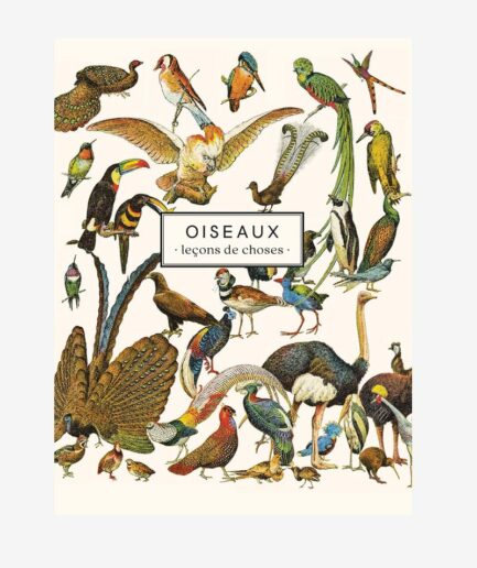 Carnet Oiseaux