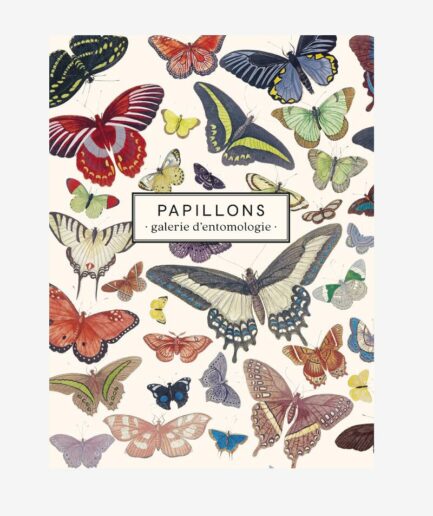 Carnet Papillons