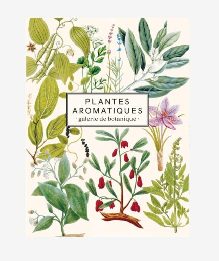 Carnet Plantes aromatiques