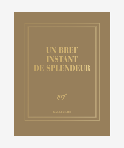 Carnet carré « Un bref instant de splendeur »
