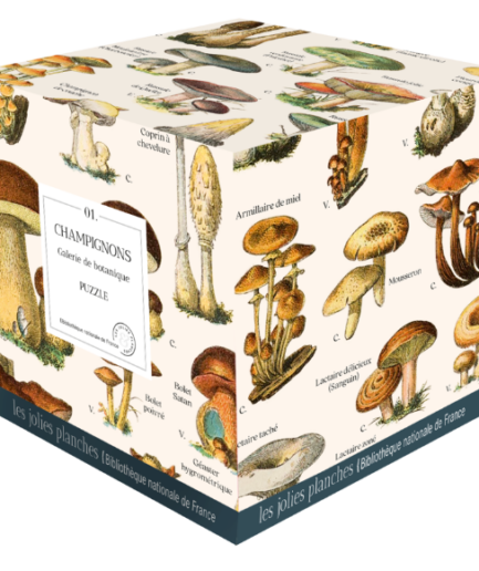 Puzzle Champignons 1000 pièces