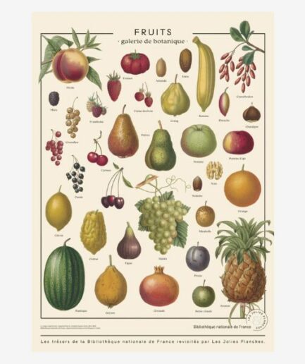 Affiche «Fruits» - 60 x 80 cm