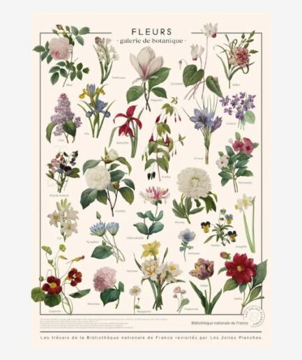 Affiche «Fleurs» - 60 x 80 cm