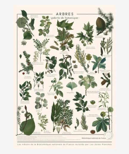 Affiche «Arbres» - 60 x 80 cm