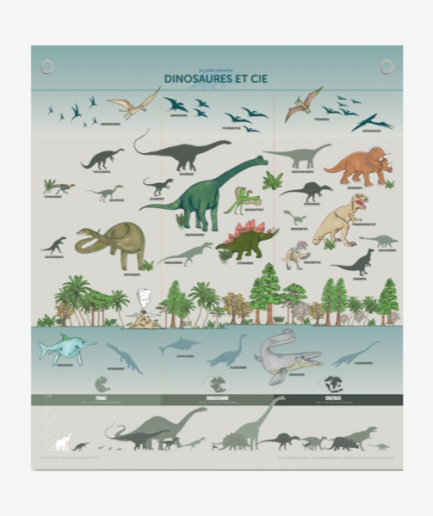 Affiche «Dinosaures et Cie» - 70 x 80 cm