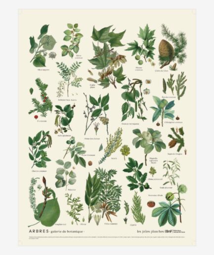 Affiche «Arbres» – 30 x 40 cm