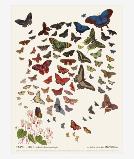 Affiche «Papillons» – 30 x 40 cm