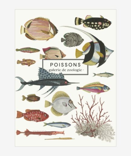 Carnet «Poissons»