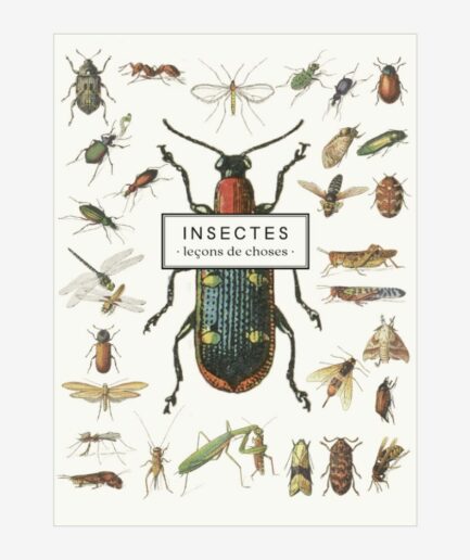 Carnet «Insectes»