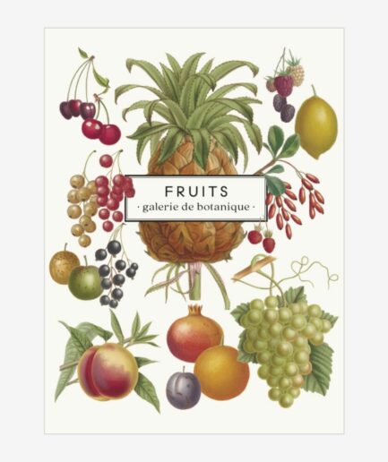 Carnet «Fruits»