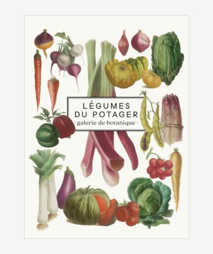 Carnet «Légumes»