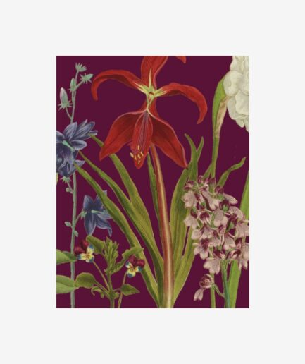 Petit carnet «Jardin»
