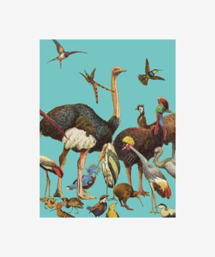 Petit carnet «Oiseaux»