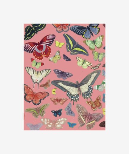 Petit carnet «Papillons»